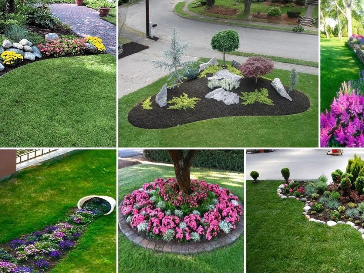 Brady's Landscaping photo 5