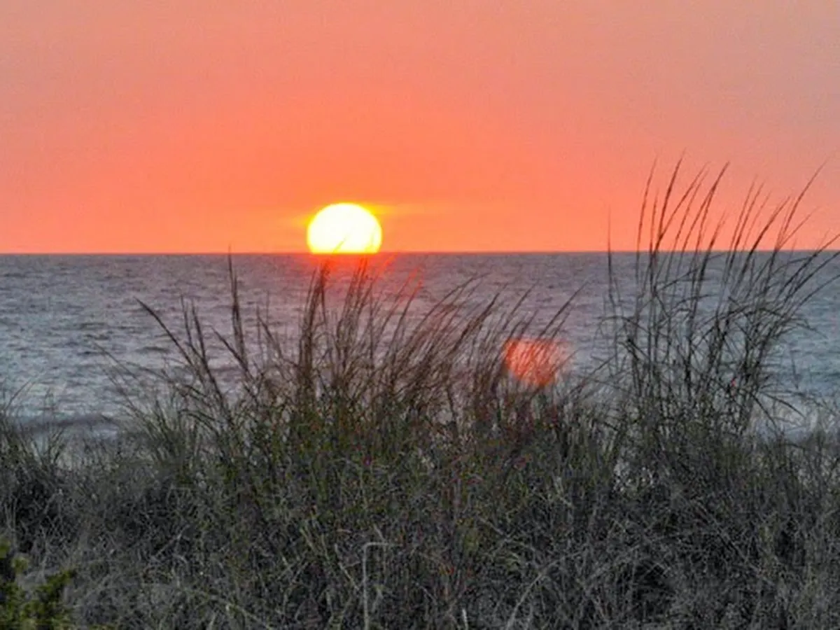 Brian Reed Beach Homes photo 4