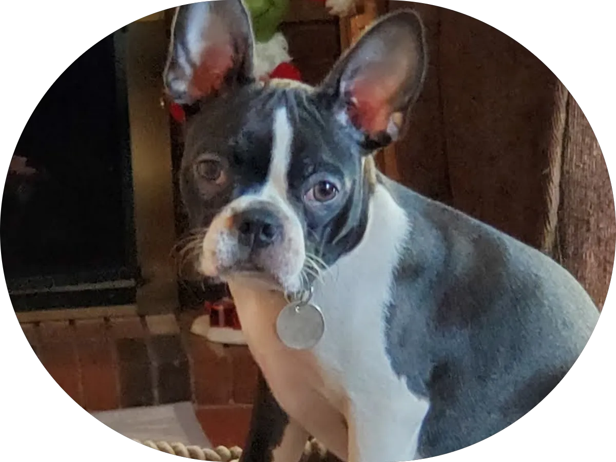 Brian Swope, Esq - Bankruptcy Attorney | Hammonton NJ