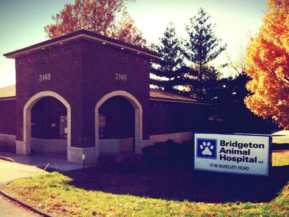 Bridgeton Animal Hospital