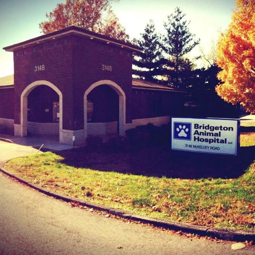 Bridgeton Animal Hospital photo 2