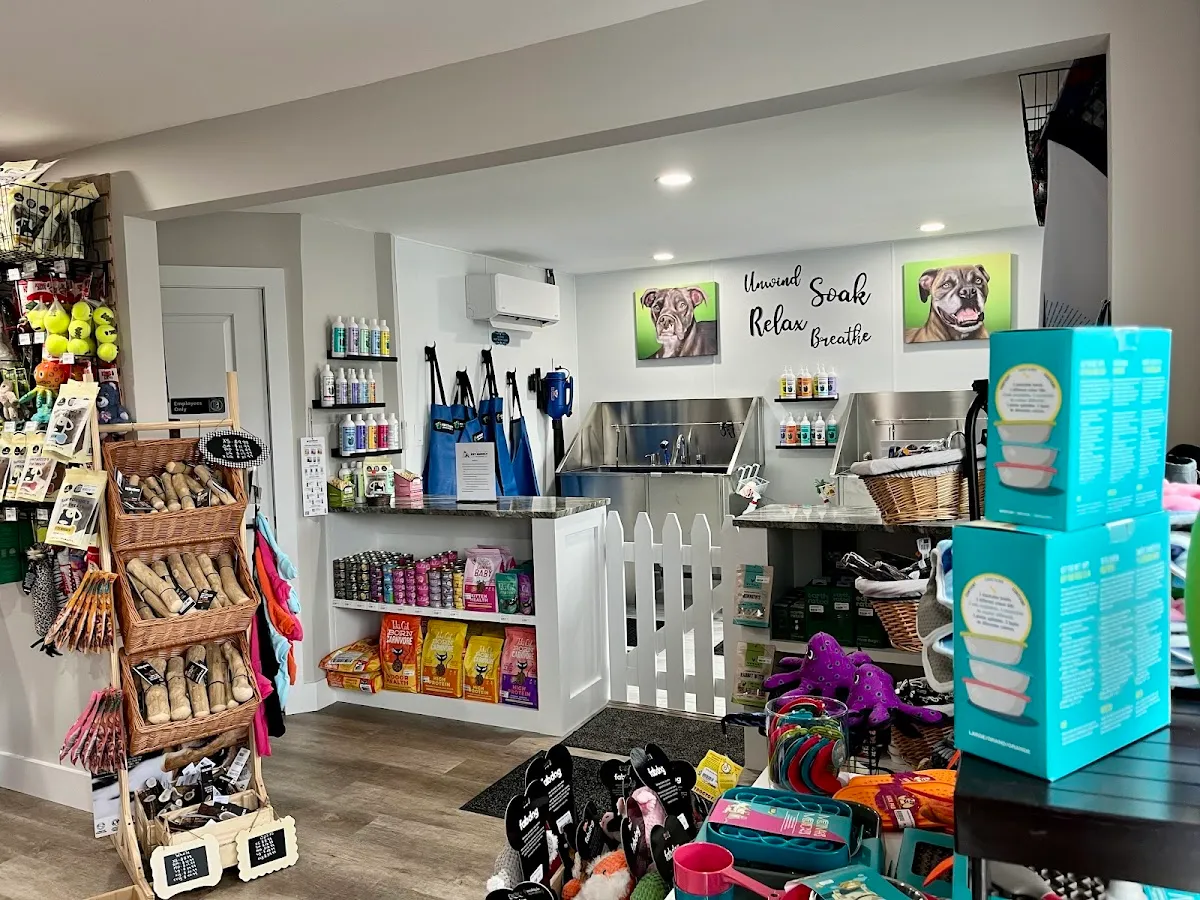 Brigantine Pet Supply & Wash photo 2