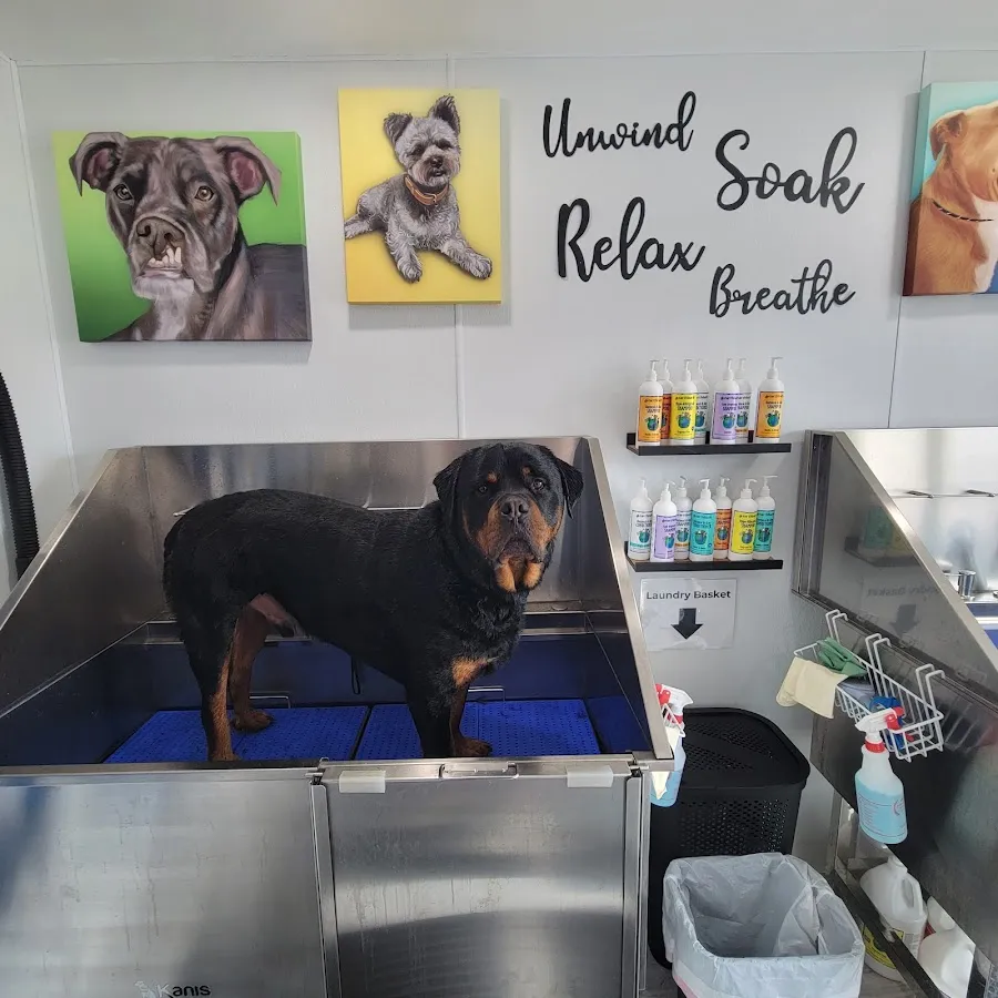 Brigantine Pet Supply & Wash photo 3