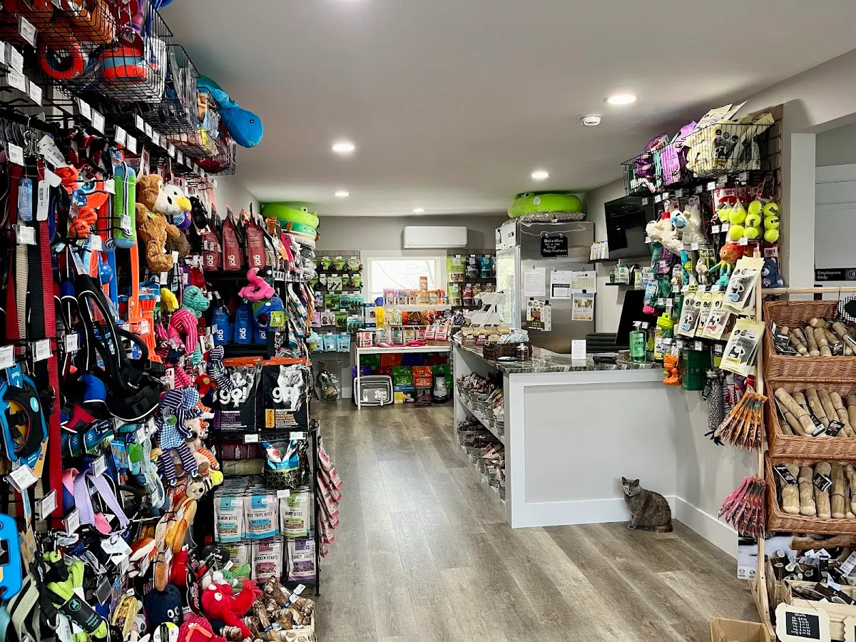 Brigantine Pet Supply & Wash photo 4