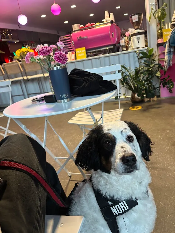 Brio Coffeeworks photo 3