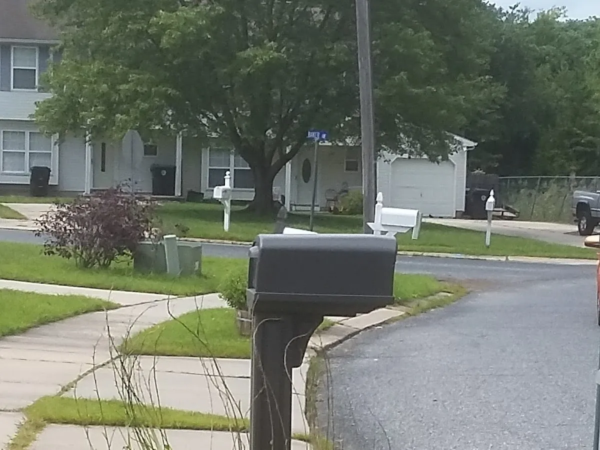 Briones Lawn Care & Landscaping LLC photo 4