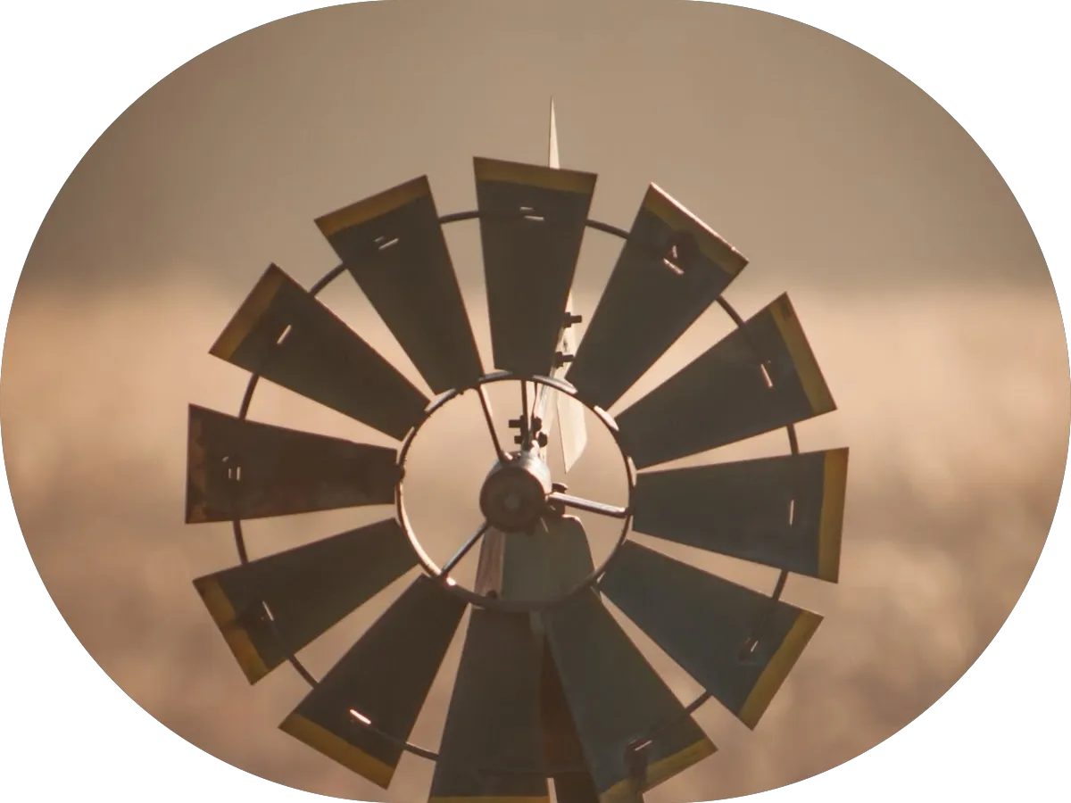 Brittany Kaizar - Real Estate Agent photo 4