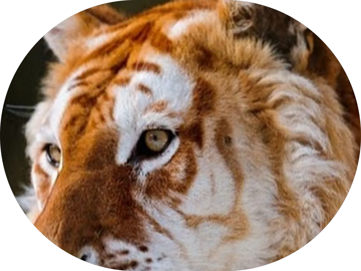 Broderick Family Chiropractic photo 5