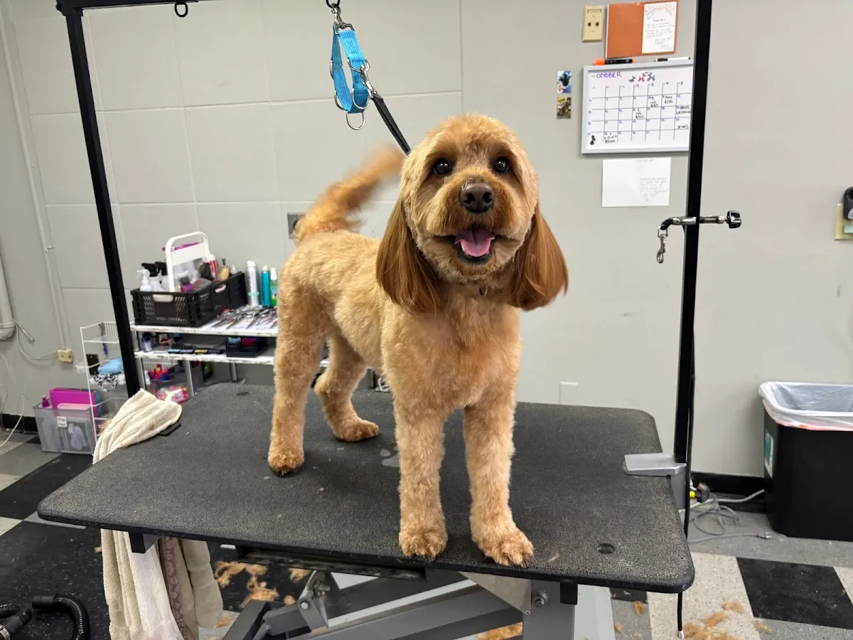 Bro's N' Bows photo 3