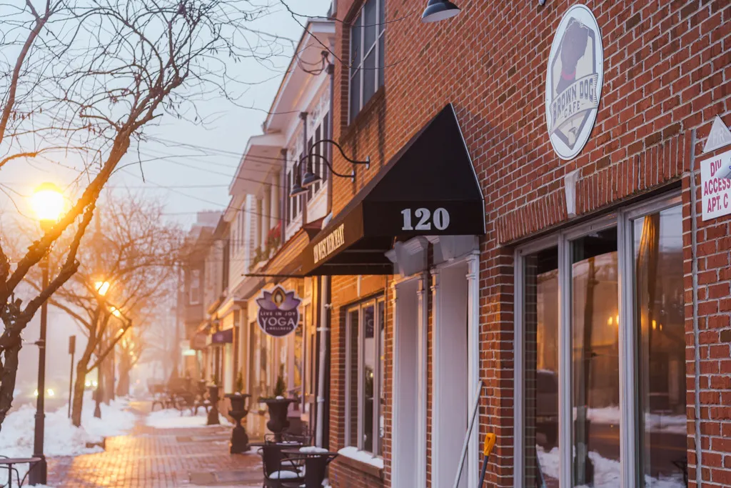 Brown Dog Café photo 4