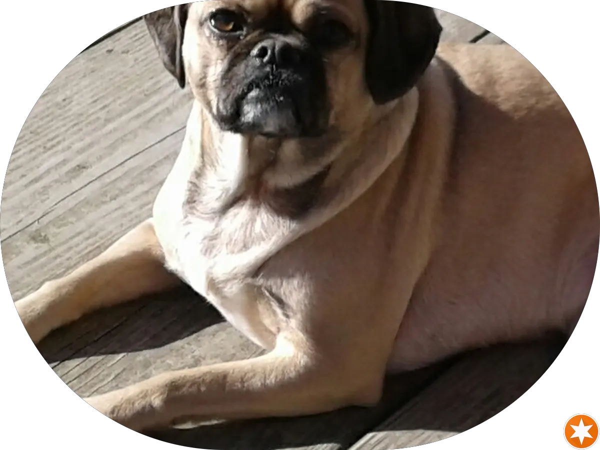 Bruce Chiropractic Center