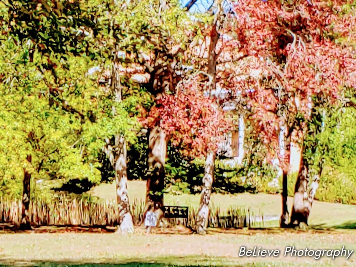 Bruce Claypool Photography photo 2