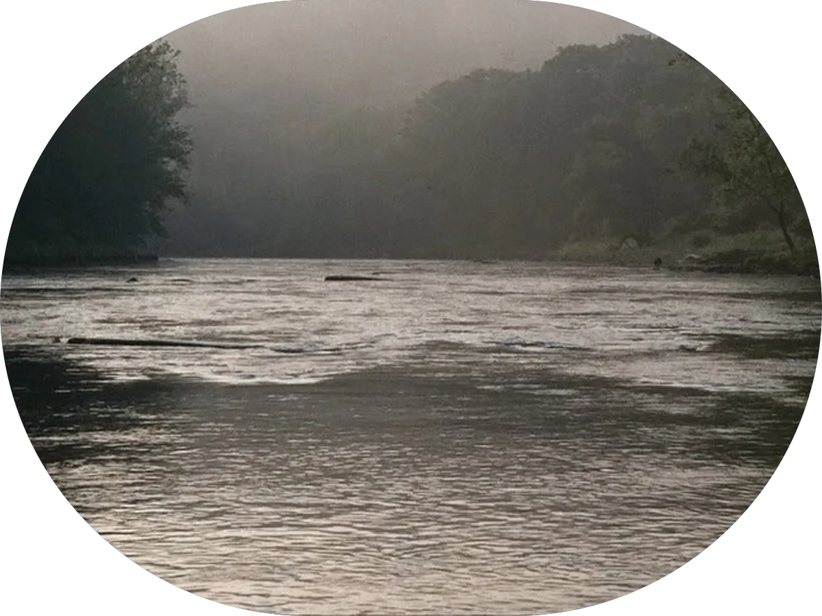 Bruynell Electric LLC photo 4