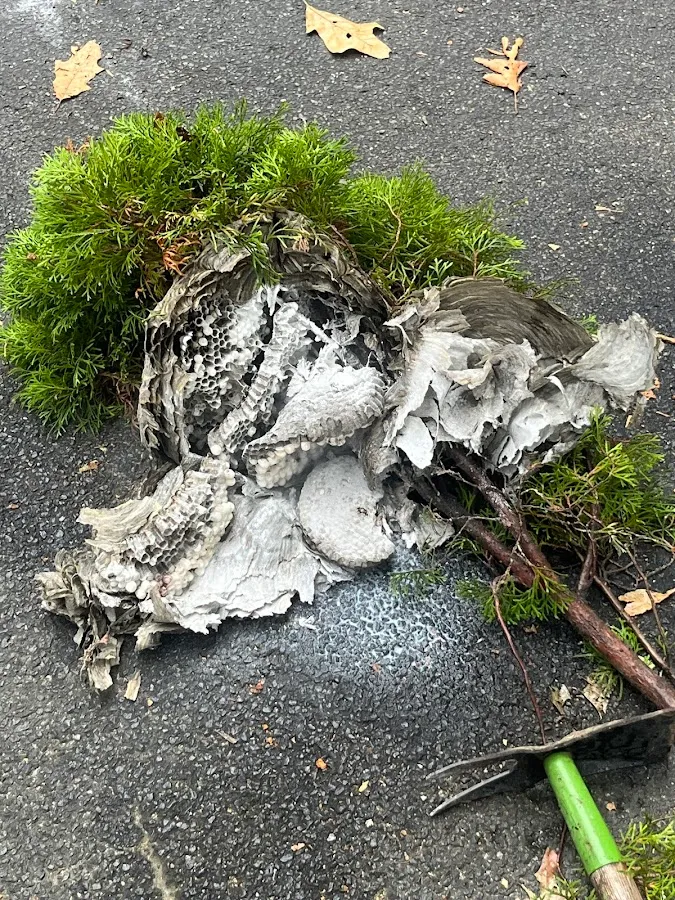 B-Shield Pest Solutions