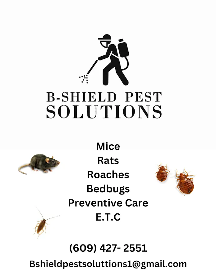 B-Shield Pest Solutions photo 2