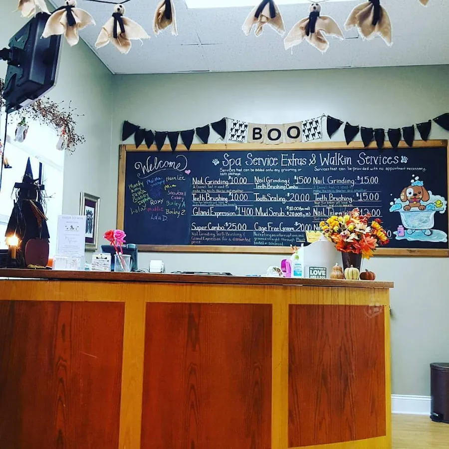 Bubbles Away Pet Salon photo 4