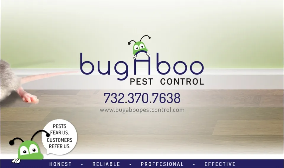 Bugaboo Pest Control photo 2