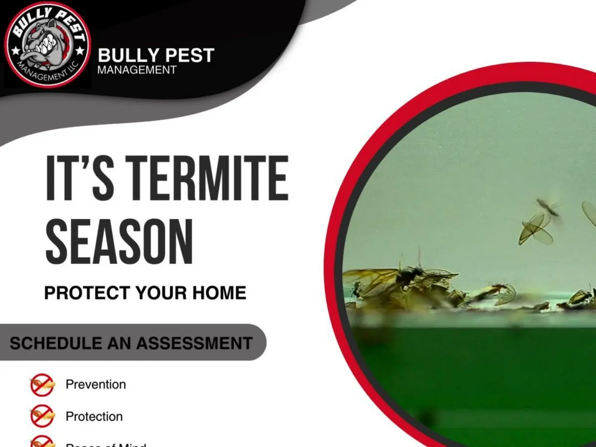 Bully Pest Management