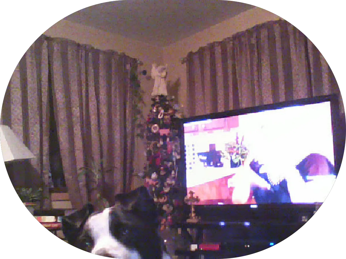 Burlington Auto Sales photo 2