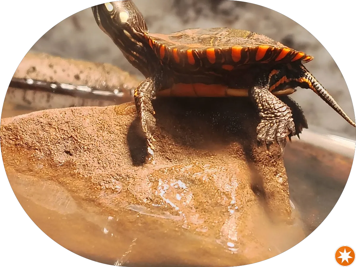 Burlington Ave Wine & Spirits photo 2