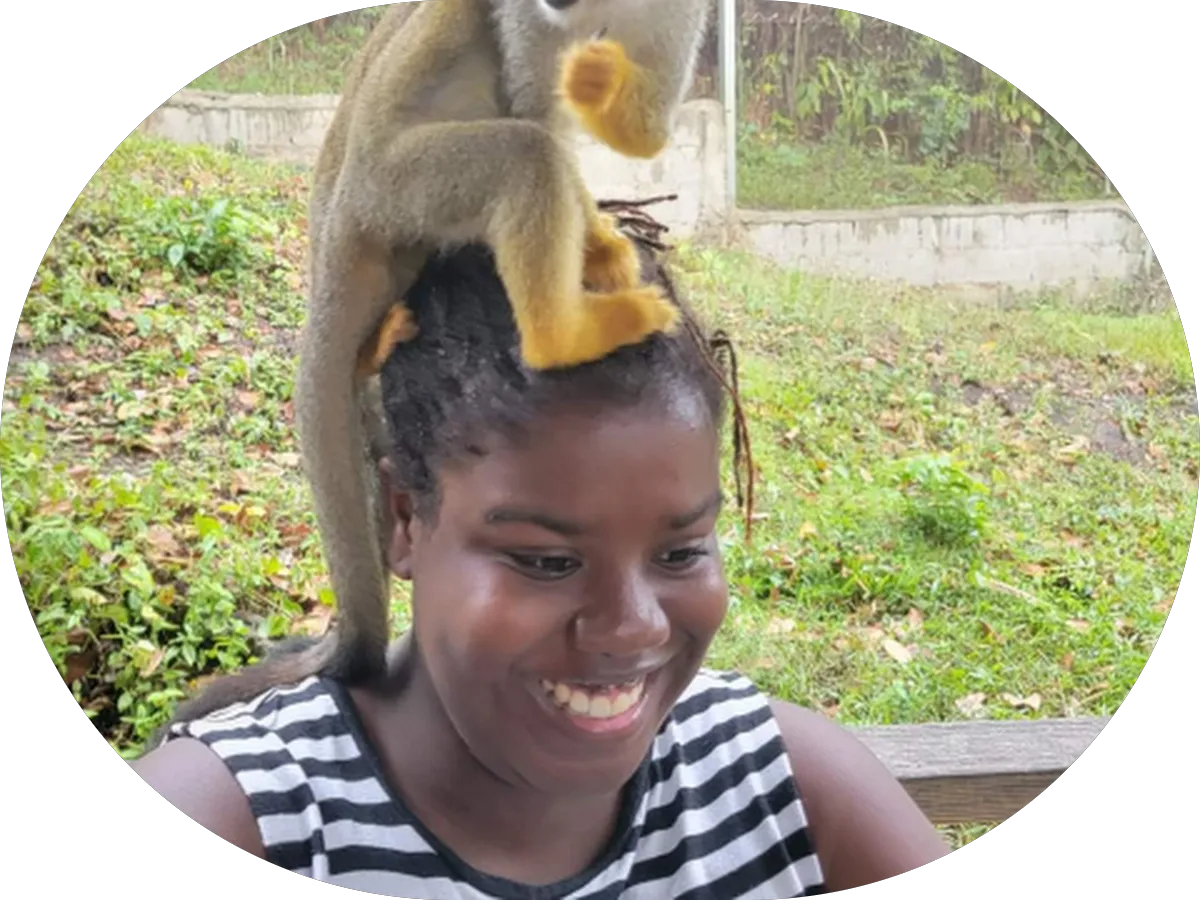 Burlington Comprehensive Counseling photo 4