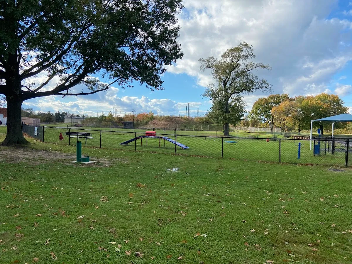 Burlington Dog Park