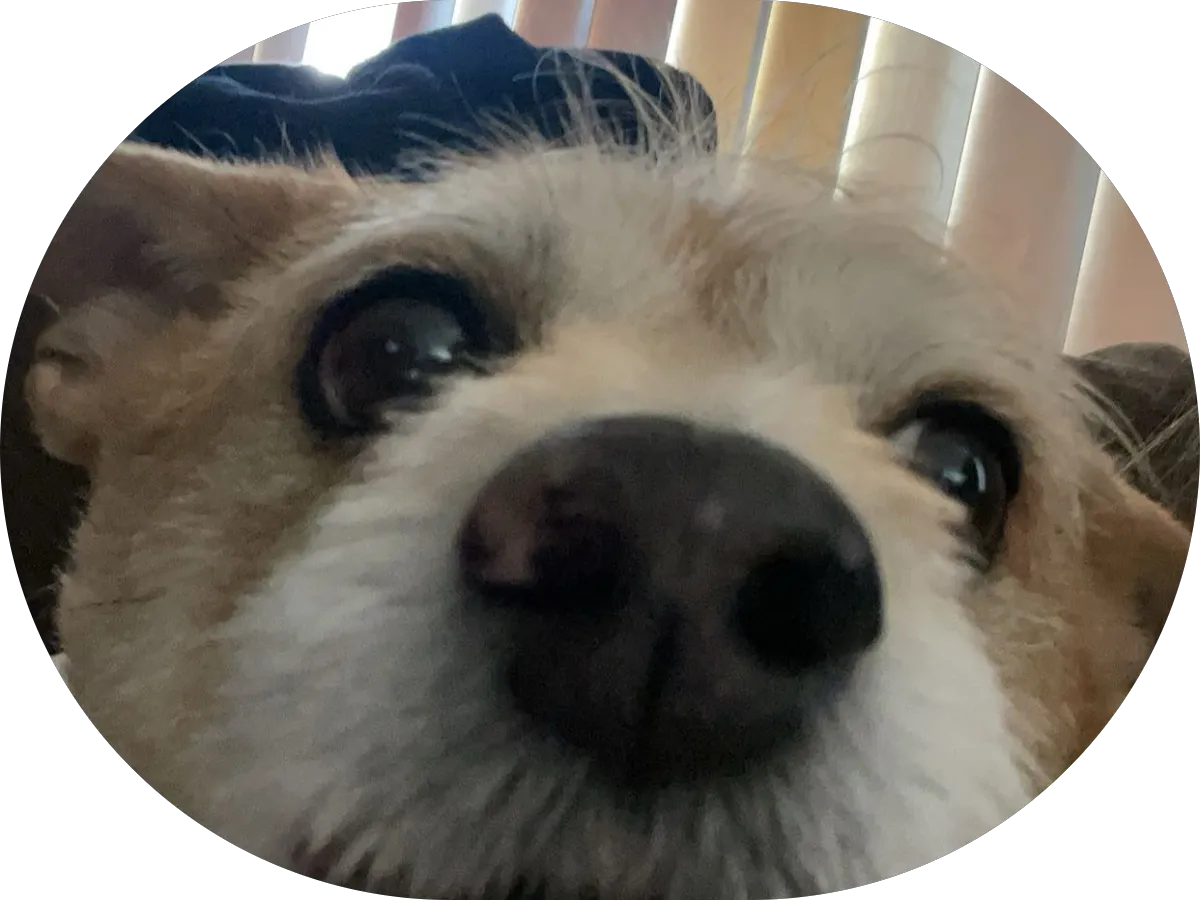 Butch's Smack Your Lips BBQ photo 5