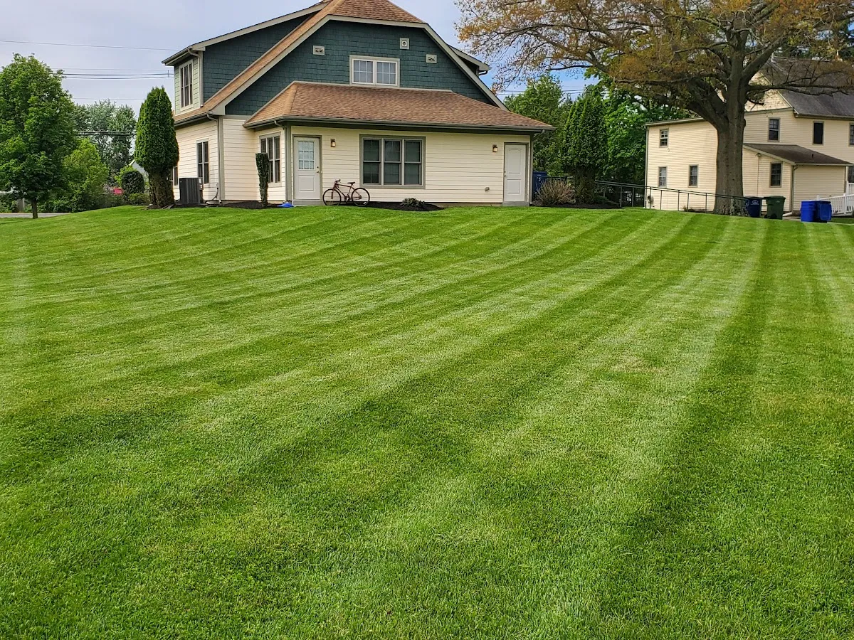 Butterfly Hill Landscaping LLC photo 3