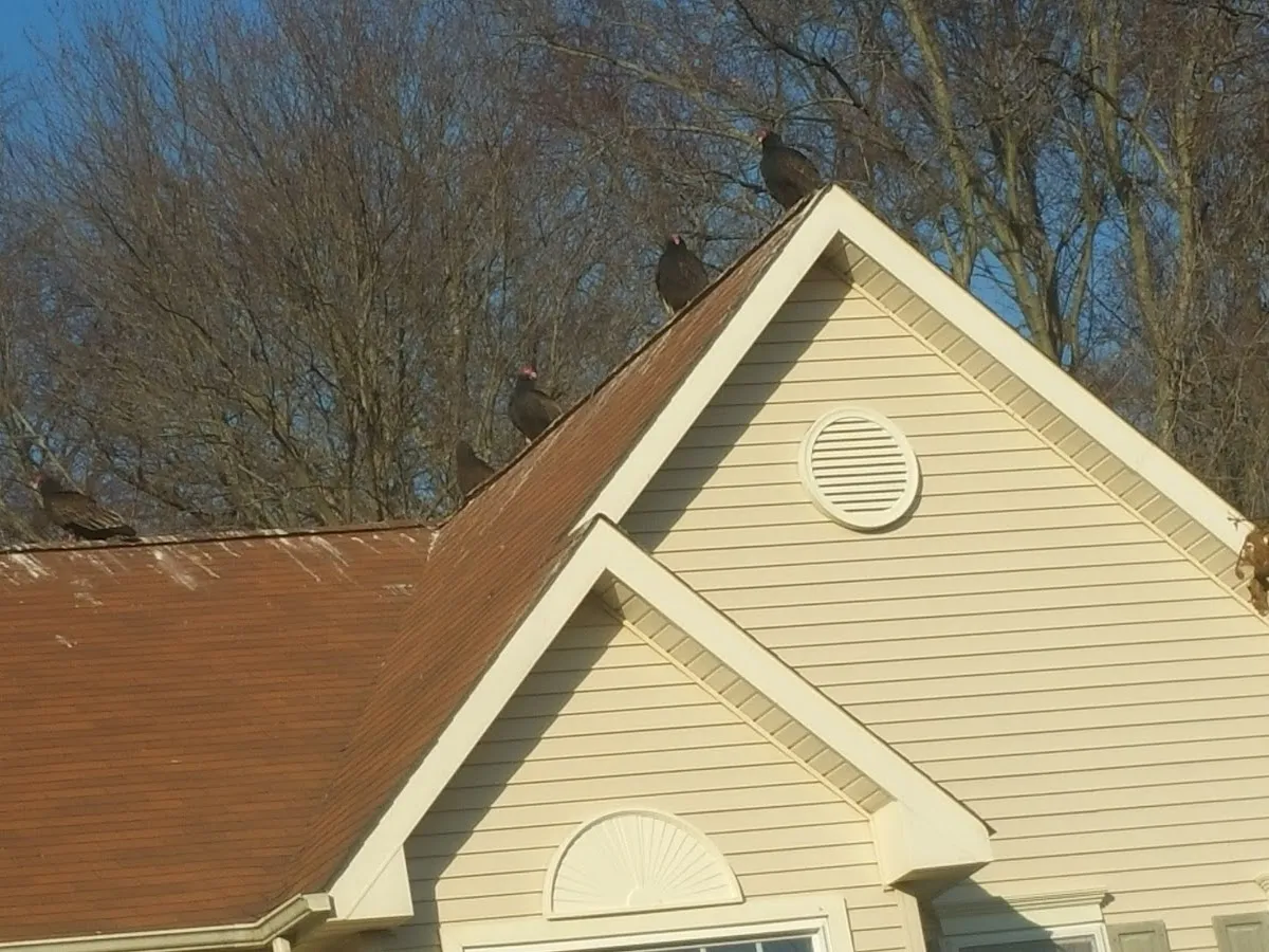 Buy Socio - Social Media Marketing Agency