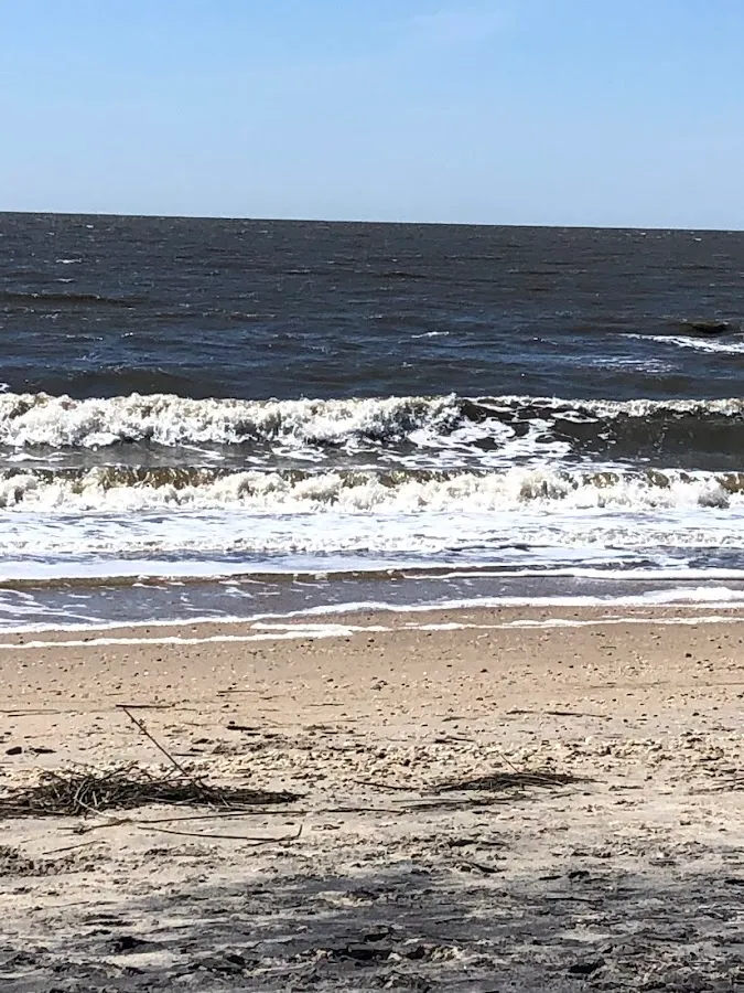 By the Sea Mobile Notary