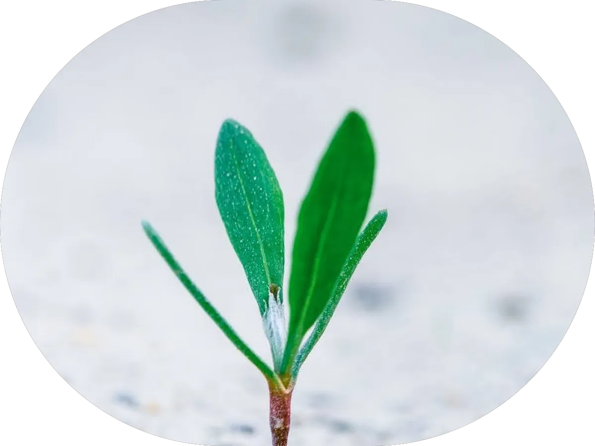 Byron's Plumbing & Heating Inc