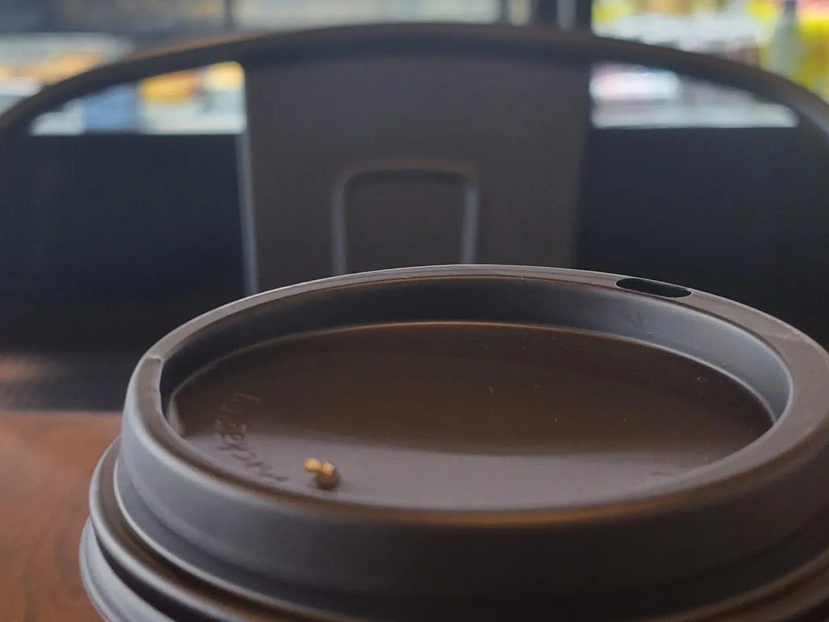 C Squared Cafe photo 5