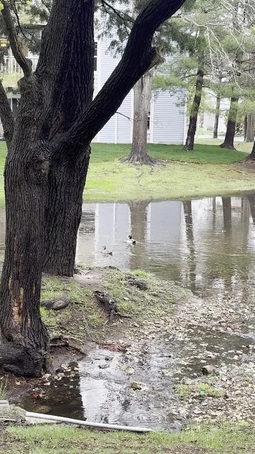 California Apartments photo 3