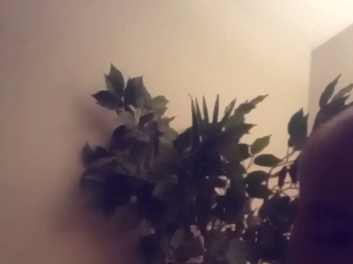 Camden County Public Defender's Office photo 4