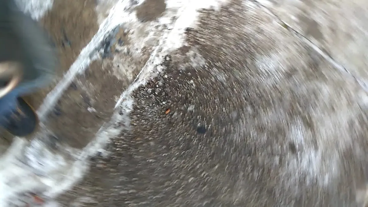 Camden Electric LLC photo 2