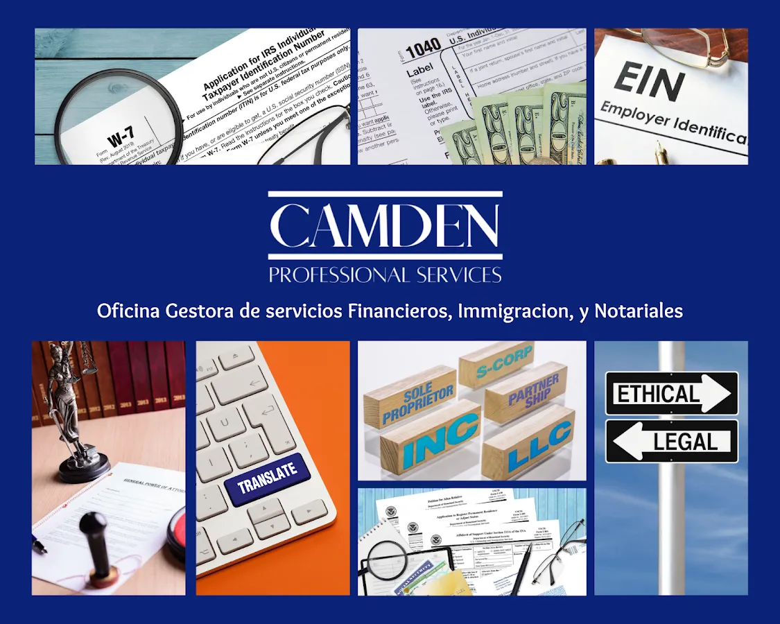 Camden Professional Services