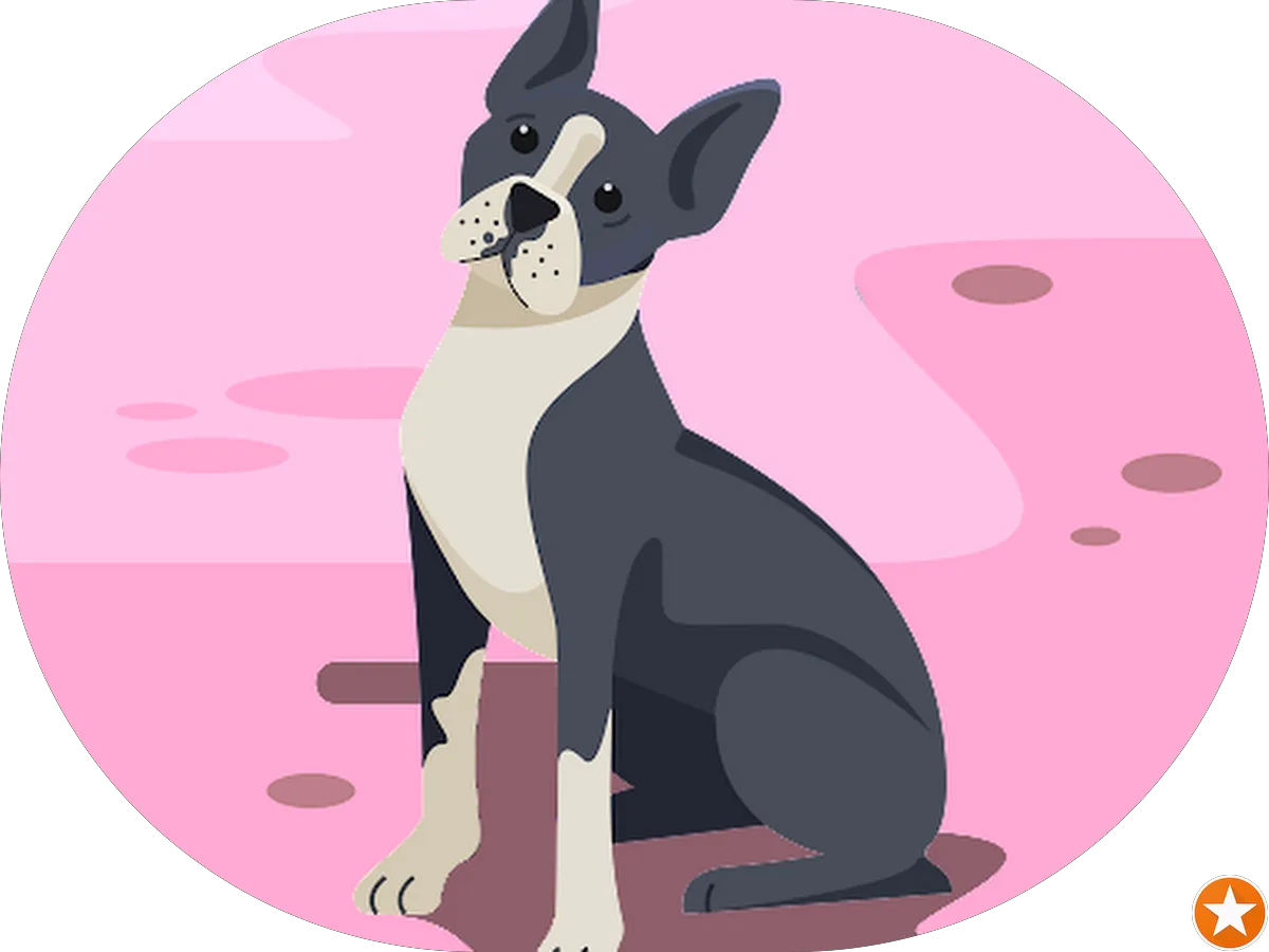 Canal's Wines Unlimited, Inc. photo 4