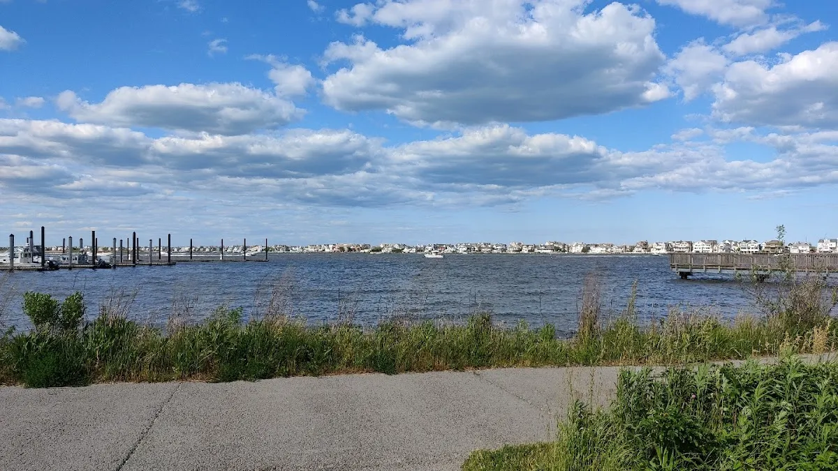 Canfield Notary Services