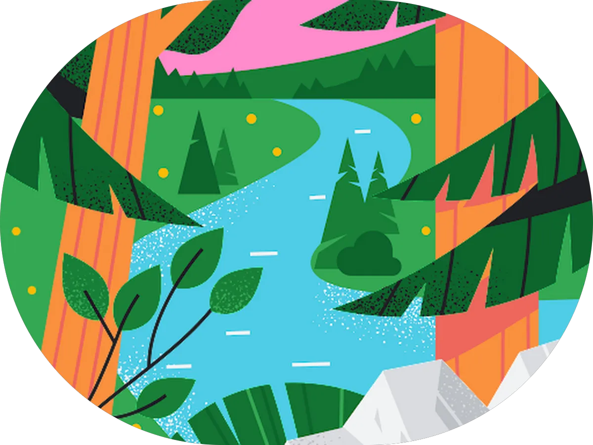 Cape Carpet Cleaning