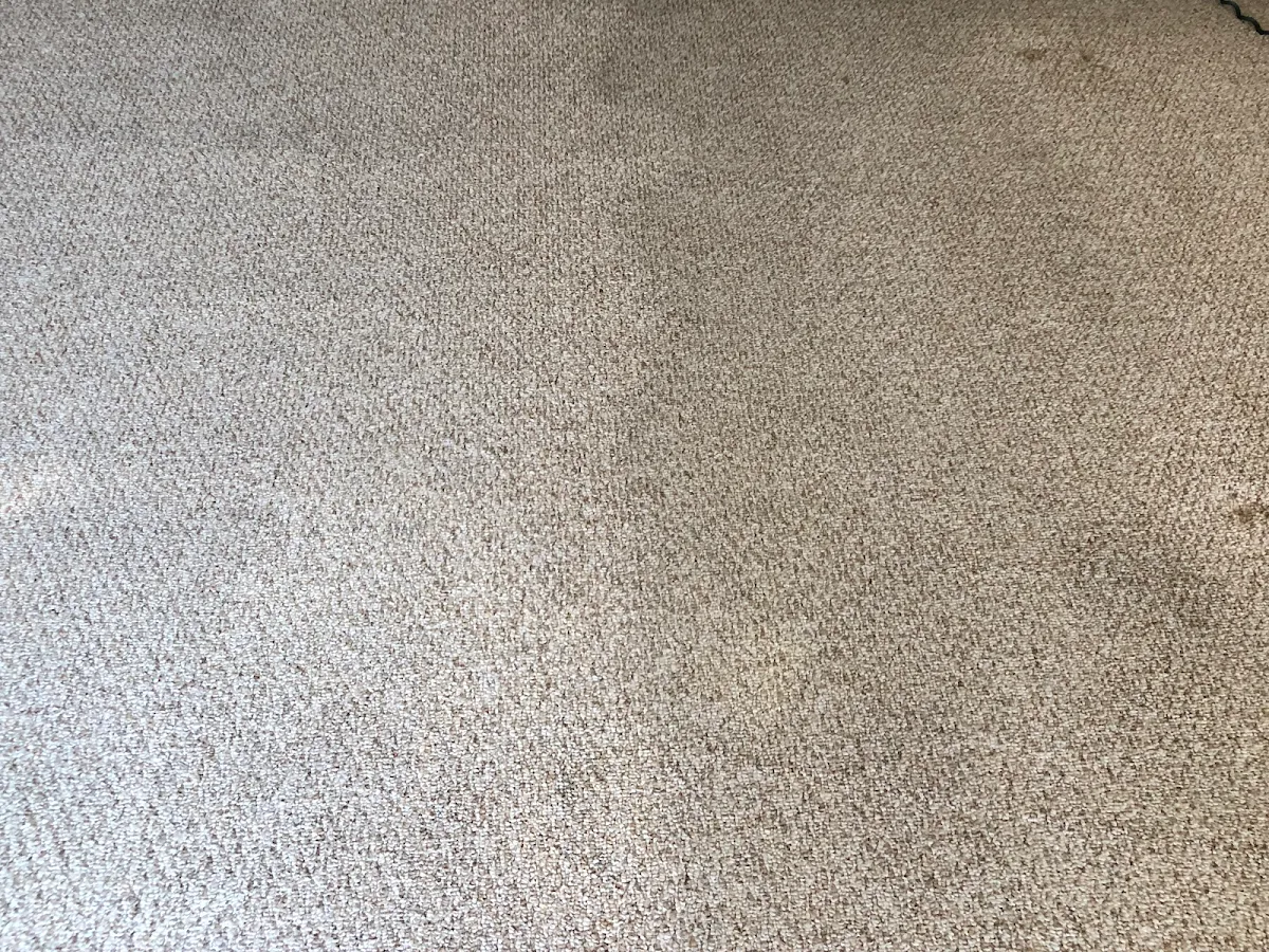 CAPE CARPET CLEANING photo 2