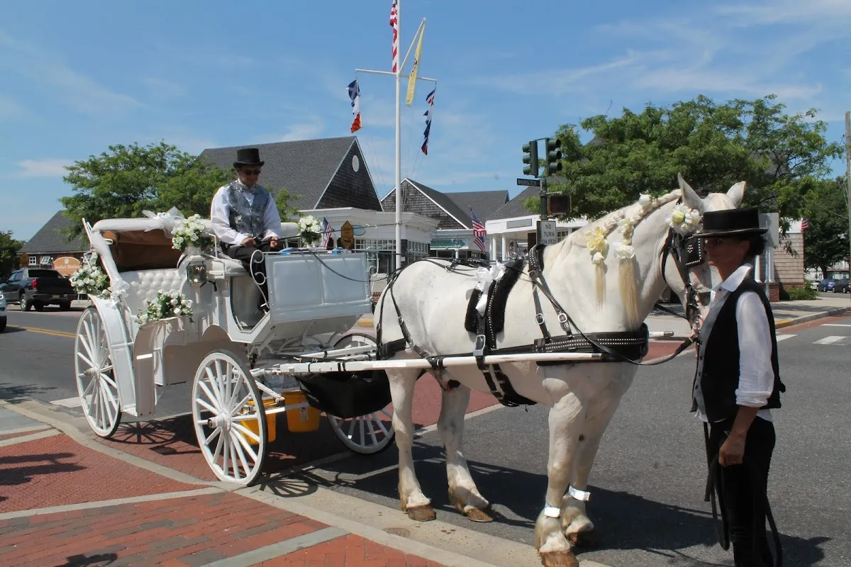 Cape May Carriage Co.