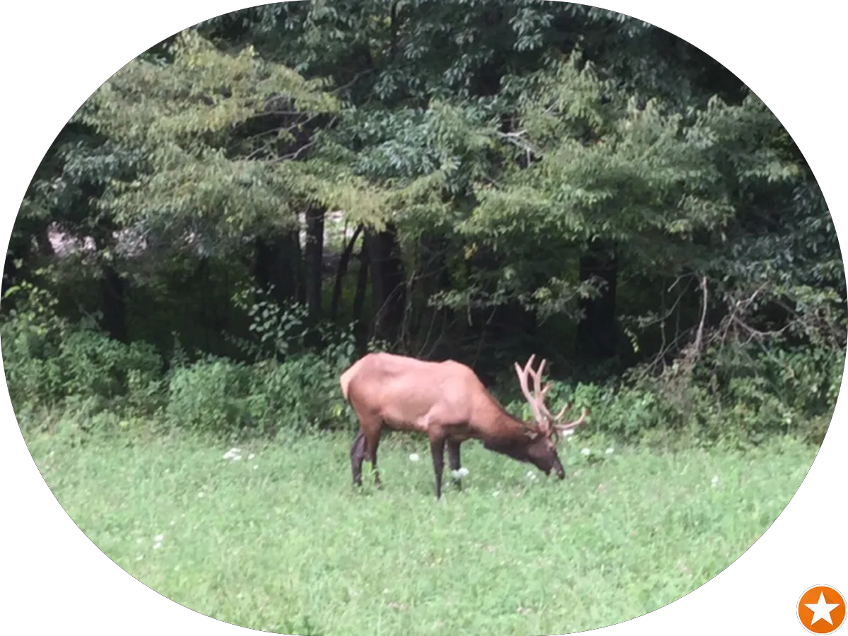 Cape May County Health Department photo 2