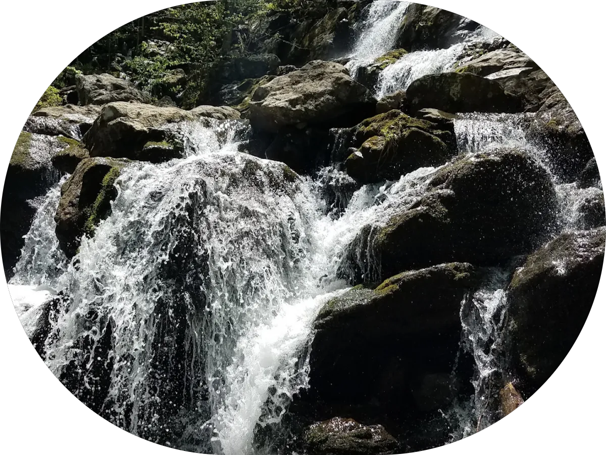 Cape May Snaps photo 2