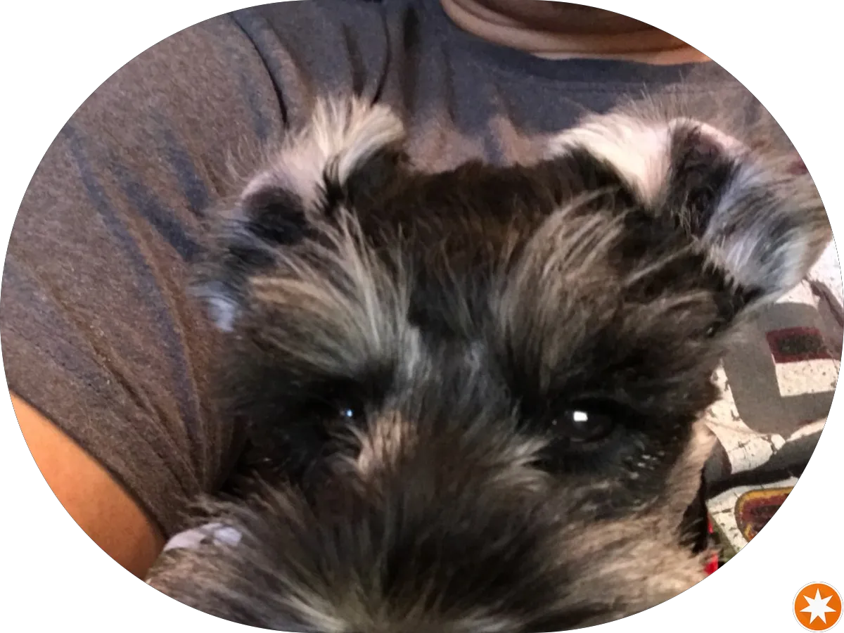 Capt'n Chucky's Crab Cake Co. Avalon photo 5