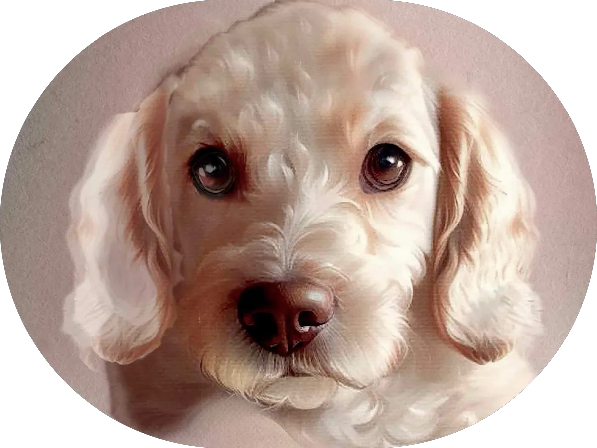 Capt'n Chucky's Crab Cake Co, Mullica Hill photo 5