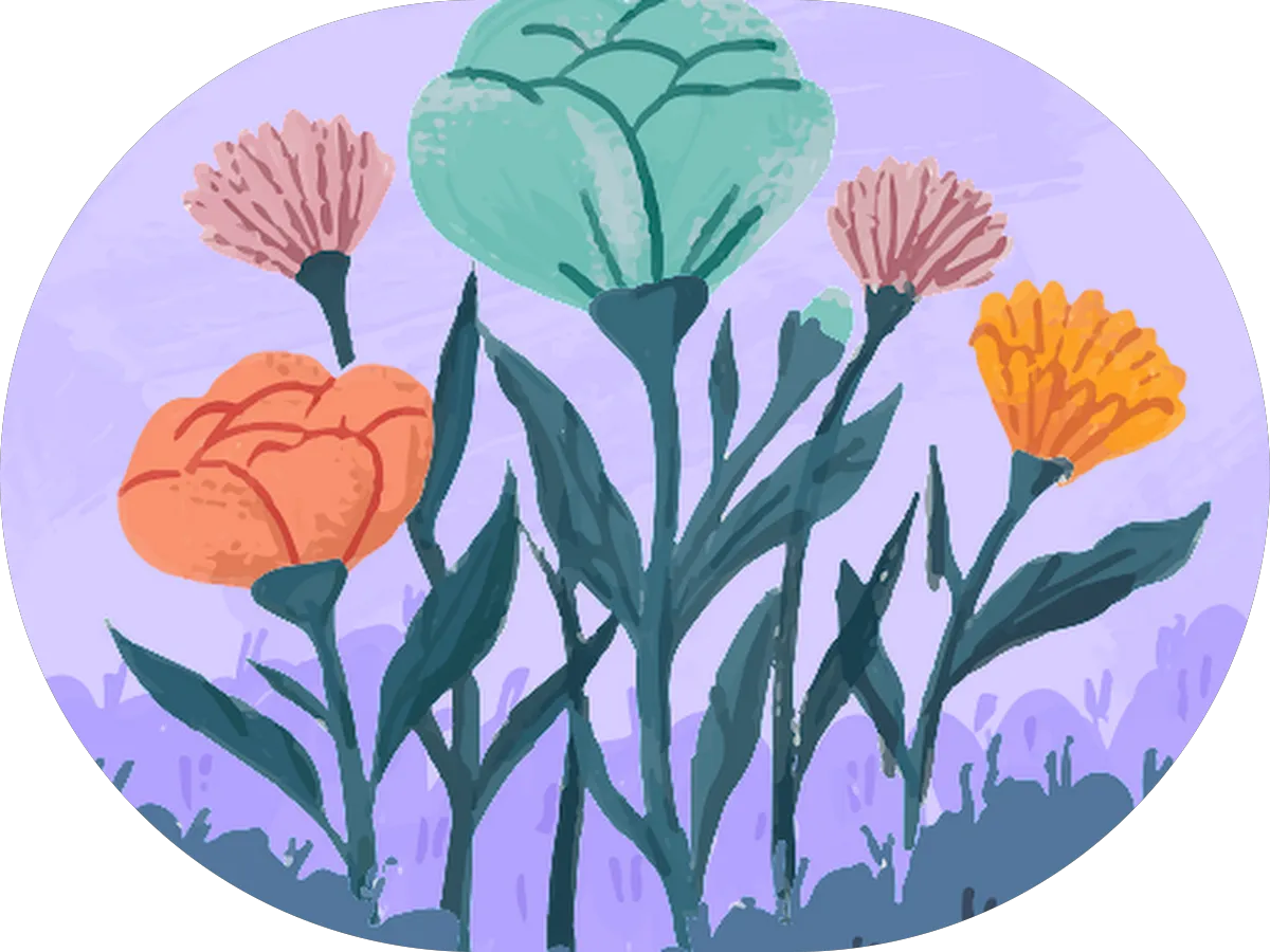 Car Solution Auto Repair photo 2