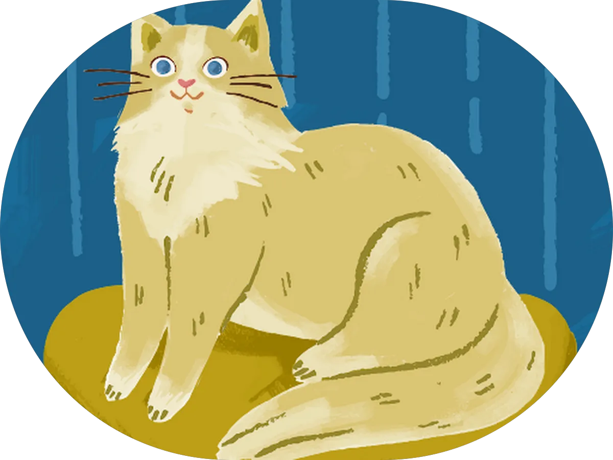 Cardinal Kids Therapy photo 4