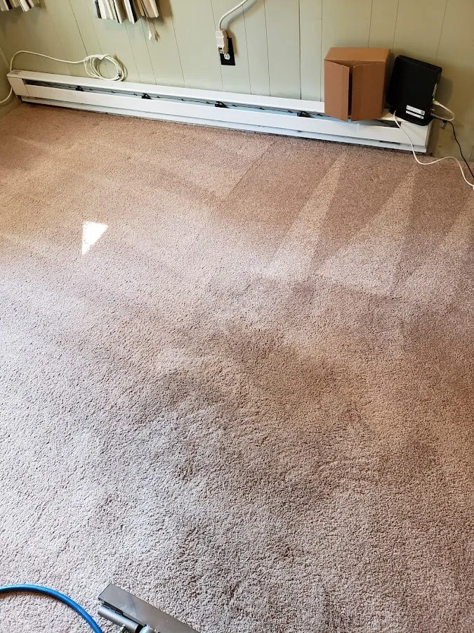 Carpet Beautifier photo 2