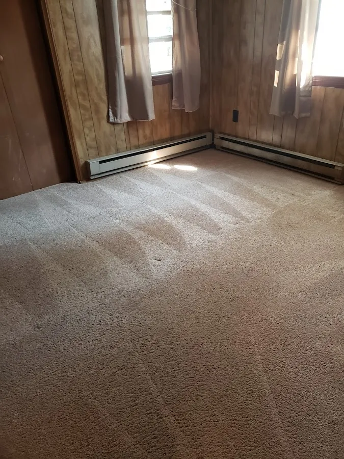 Carpet Beautifier photo 3