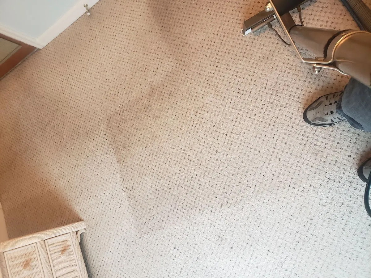 Carpet Beautifier photo 4